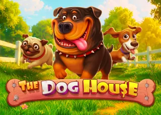 เว็บพนันออนไลน์ เว็บตรง ดีที่สุด The Dog House ทดลองเล่นฟรี